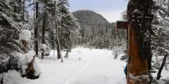 Peterson Lake Trail