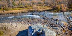 Igloo Creek Campground - Look for Moose, Bear & Dall Sheep (Mile 34.05)