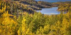 Upper Ohmer Lake Overlook
