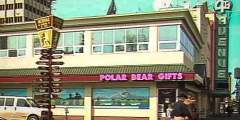 Polar Bear Gifts