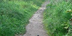Rabbit Creek Trail to Rabbit Lake