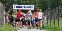 Running with the Bulls