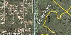 Silver Fern Trail
