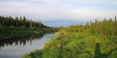 Swanson River Canoe Route