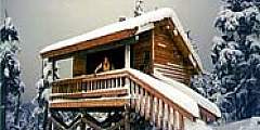 Frenchy Ridge Shelter