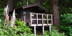 Wilson View Cabin