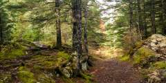 Two Lakes Trail