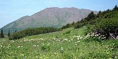 Williwaw Lakes Trail