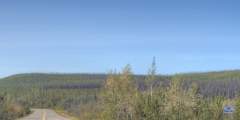 1995 Forest Fire