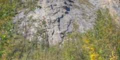 Tors