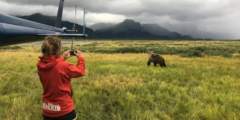 Alaska Ultimate Safaris Helicopter Bear Viewing
