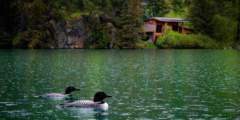 Alaska's Loonsong Lake Wilderness Lodge