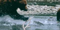 Bear Creek Weir