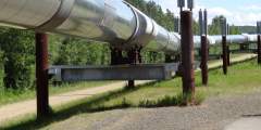Trans Alaska Pipeline Viewpoint