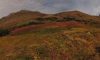 1_Ptarmigan_Pass-IMG_9942a-p935fv