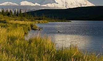 Alaska-Coast-To-Denali-Journey-51-Denali_Middle_Image-pdvtig