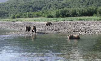 Alaska-Ultimate-Safaris-P9030054-p5lkmx