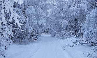 Bird-Valley-Trail-01-mxq4cv