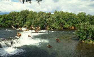 Brooks-Lodge-Katmailand-03-mn7t1h