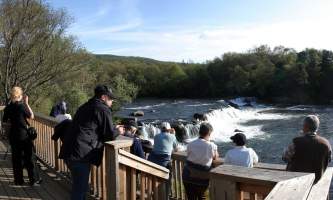 Brooks_Falls_Platform2-rsz-copyright_Scott_Moran-ma82j9