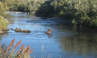 Escape To Tranquility: Your Guide To Buskin River State Recreation Site