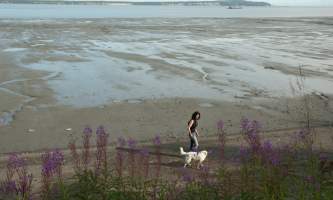 Coastal-Trail-04-mhzha8