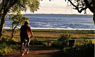 Coastal-Trail-_1_-ma7ugl