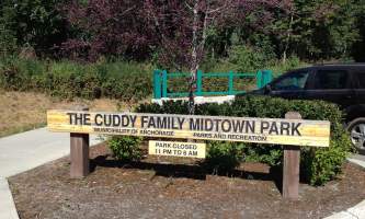 Cuddy_Family_Midtown_Park-01-n8ihm6
