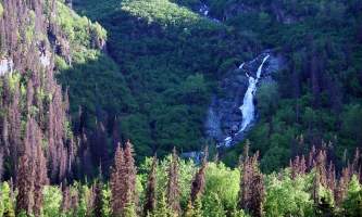 Eagle-River-Nature-Center-_4_-ma7uhc