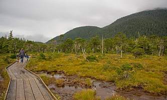 Forest-and-Muskeg-Trail-2-nhvzcl