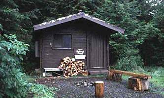 Little shaheen cabin 03 muix2y
