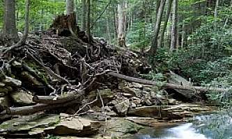 Middle-Fork-Loop-Trail-01-mxq6zc