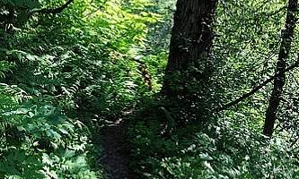 Mount-Juneau-Trail-nhvnyc