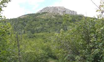 Mount_Healy_Overlook_Trail DSC00226-oqu6i0