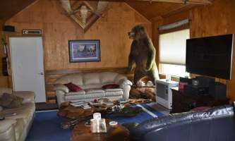 Northwoods-Lodge-living_room_2018-pfb6e4