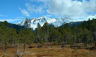 Point-Bridget-Trail-nhvs0l