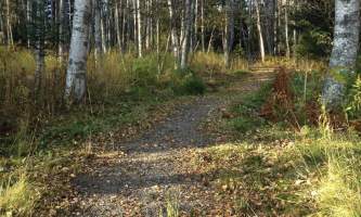 Ray-Clapp-Trail-IMG_1073-nz5xtt
