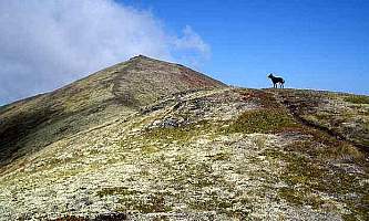 Rendezvous-Peak-Trail-Rendezvous_Peak_Trail-p935t8