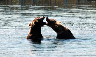 Siblings_Playing-rsz-copyright_Russ_Johnson-ma82ja