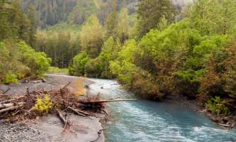 Tonsina-Creek-12-n8vq8k