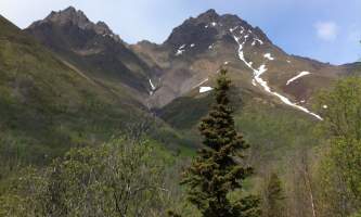 Twin-Peaks-Trail IMG_0431-ov8xcb