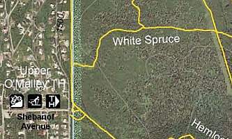 White_Spruce_Trail-nhvypc