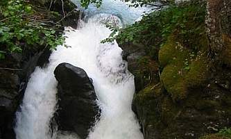 Winner-Creek-Trail-nhvyvj