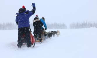 Alaska mushing school img 6483 okpd3j