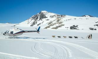 Anchorage helicopter tours dog sledding anchorage helicopter tours dog sledding 9 p58go5