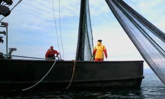 Commercial-fishing-shots-08-mknkp5