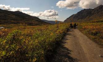 Craigie-creek-Craigie_Creek_Trail-pivdcc