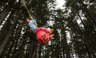 Hook point cabin ball swing 16 a7010 nrs0rb