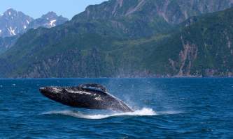 Infinite-alaska-adventures-IMG_8349-p2povg