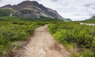 Landmark-gap-lake-trail-north-denali-highway-_16A3495-o9f4r7